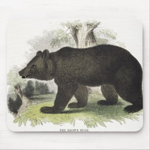 Der Braunbär, pädagogische Illustrations-Kneipe. Mousepad