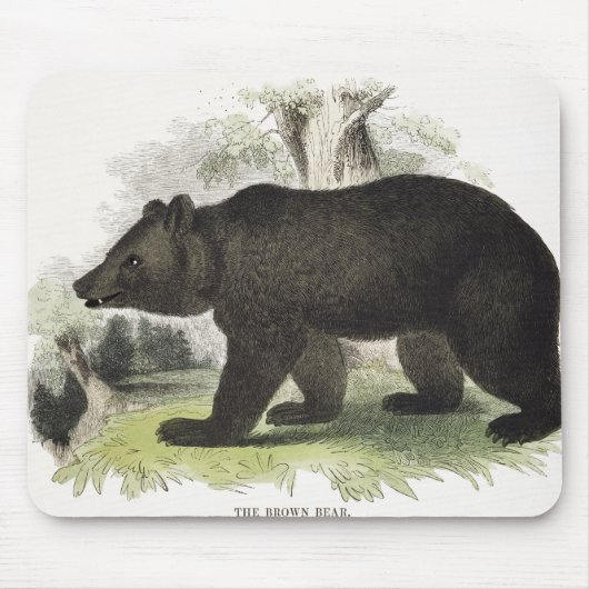 Der Braunbär, pädagogische Illustrations-Kneipe. Mousepad (Vorne)