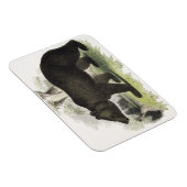 Der braune Bär, pädagogische Illustrationsstube Magnet (Rechte Seite)