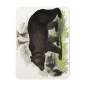 Der braune Bär, pädagogische Illustrationsstube Magnet (Vertikal)