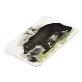 Der braune Bär, pädagogische Illustrationsstube Magnet (Linke Seite)