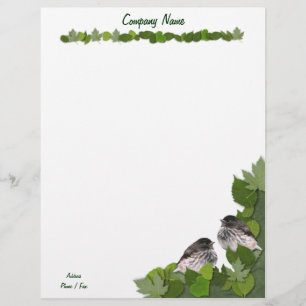 Der Briefkopf Babyjuncos