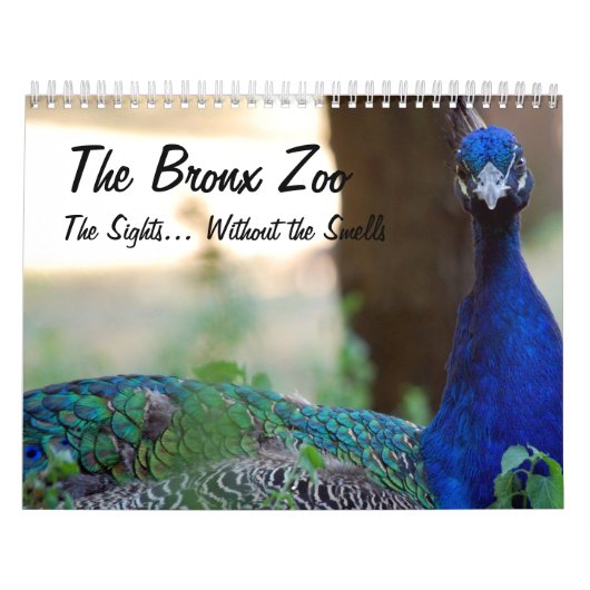 Der bronx-Zoo Kalender (Titelbild)