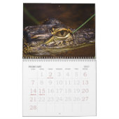 Der bronx-Zoo Kalender (Feb 2027)