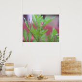 Der Bud Poster (Küche)