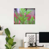 Der Bud Poster (Heimbüro)
