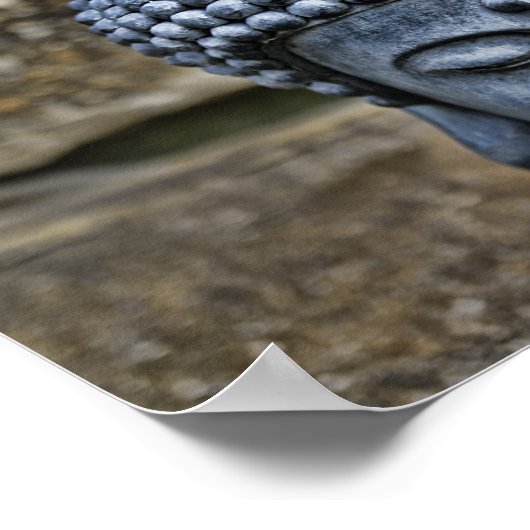 Der Buddha Poster (Ecke)