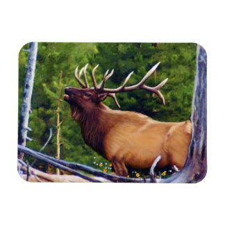Der Bugler Elk Bull Magnet