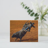 Der Bull Rider Postkarte (Stehend Vorderseite)
