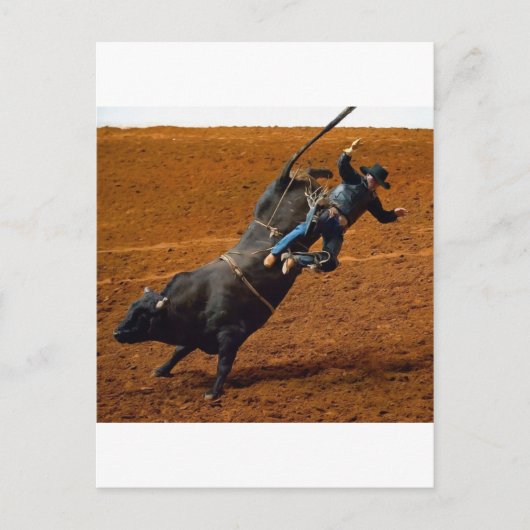 Der Bull Rider Postkarte (Vorderseite)