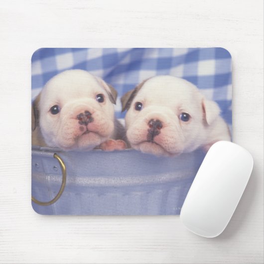 Der Bulldog, der oft als englischer Bulldog bezeic Mousepad (Mit Mouse)