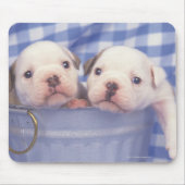 Der Bulldog, der oft als englischer Bulldog bezeic Mousepad (Vorne)