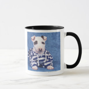 Der Bullterrier ist eine Zucht des Hundes in Tasse