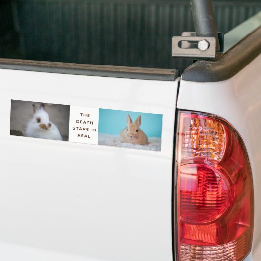 Der BUNNY Death Stare ist echt! Eigenes Foto hinzu Autoaufkleber (Auf Lkw)