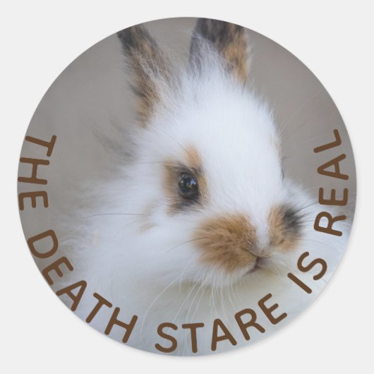 Der BUNNY Death Stare ist echt! Eigenes Foto hinzu Runder Aufkleber (Vorderseite)