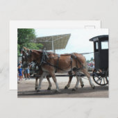 Der Bus der Mule Driven School Postkarte (Vorne/Hinten)