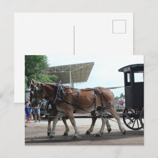 Der Bus der Mule Driven School Postkarte (Vorne/Hinten)