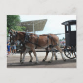 Der Bus der Mule Driven School Postkarte (Vorderseite)