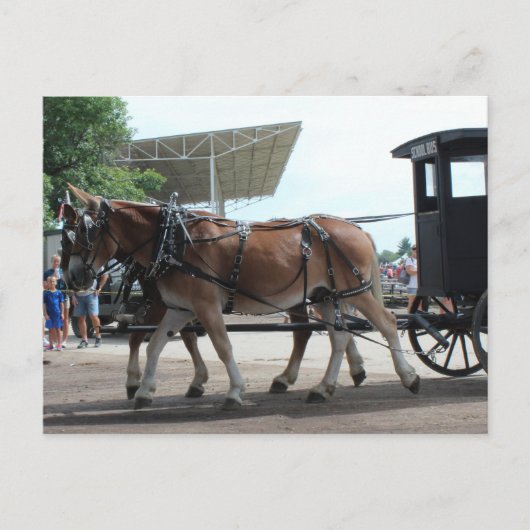 Der Bus der Mule Driven School Postkarte (Vorderseite)