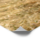 Der Cartoon Wolf schoss Poster (Ecke)