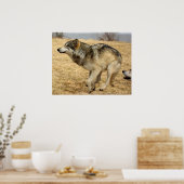 Der Cartoon Wolf schoss Poster (Küche)