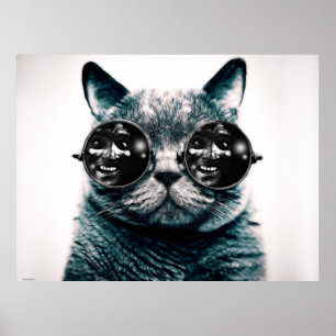 DER CAT POSTER