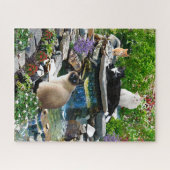 Der Cat-Wellness-Center Puzzle (Horizontal)