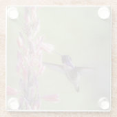 Der charmante Hummingbird an der Costa Glasuntersetzer (Rückseite)