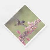 Der charmante Hummingbird an der Costa Serviette (Ecke)