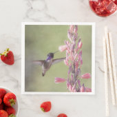Der charmante Hummingbird an der Costa Serviette (Beispiel)