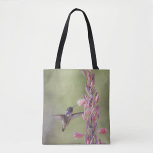 Der charmante Hummingbird an der Costa Tasche