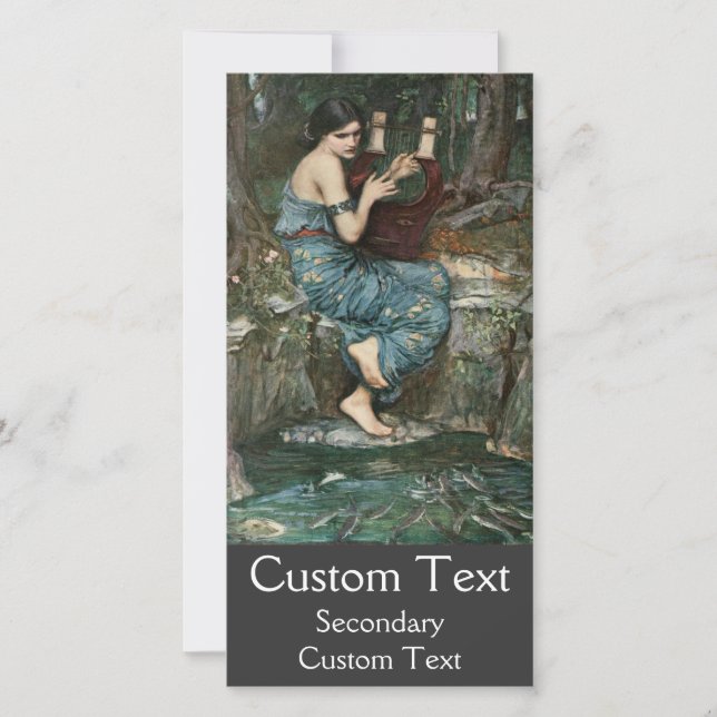 Der Charmer (Vorderseite)