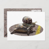 Der Cheater Postkarte (Vorne/Hinten)