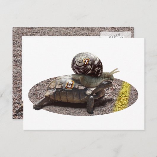 Der Cheater Postkarte (Vorne/Hinten)