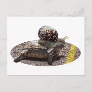 Der Cheater Postkarte