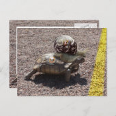 Der Cheater Postkarte (Vorne/Hinten)