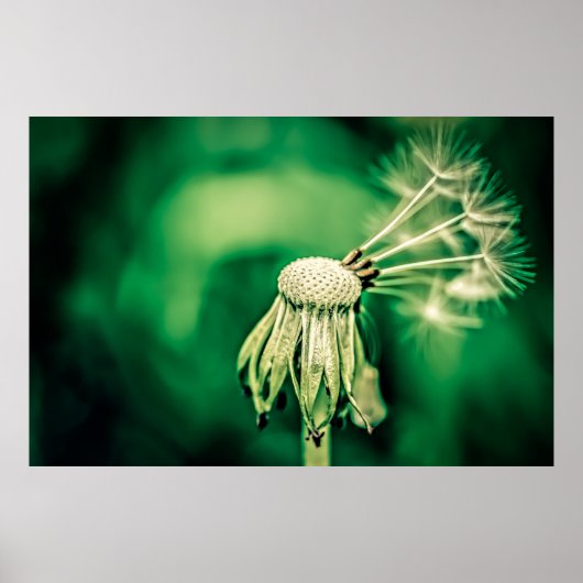 Der Chef Poster (Vorne)