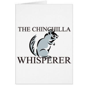 Der ChinchillaWhisperer