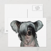 Der chinesische Hund mit Haube Postkarte (Vorne/Hinten)