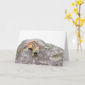 Der Chipmunk Karte (Gelbe Blume)