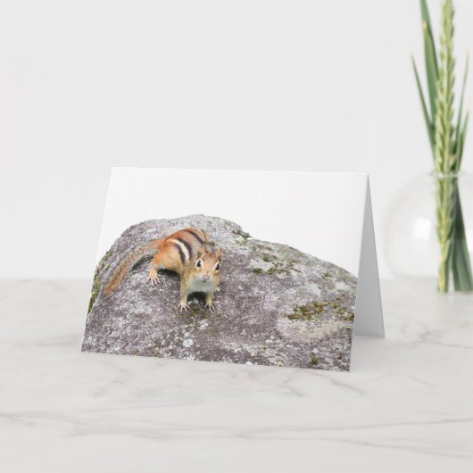 Der Chipmunk Karte (Vorderseite)