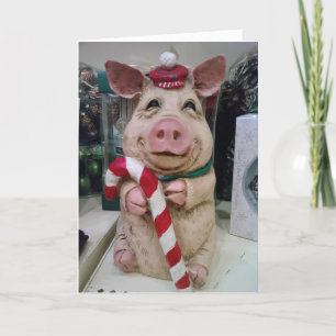 **DER CHRISTMAS PIG*** WÜNSCHT IHNEN BESTE WÜNSCHE FEIERTAGSKARTE