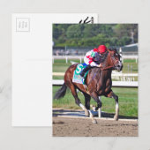 Der Cotillion 2016 Postkarte (Vorne/Hinten)