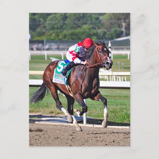 Der Cotillion 2016 Postkarte (Vorderseite)