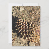 Der Coulter Pinecone Feiertagskarte (Vorderseite)