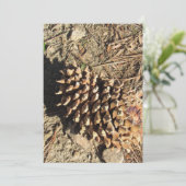 Der Coulter Pinecone Feiertagskarte (Stehend Vorderseite)
