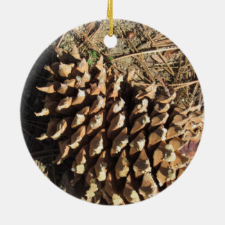 Der Coulter Pinecone Keramik Ornament