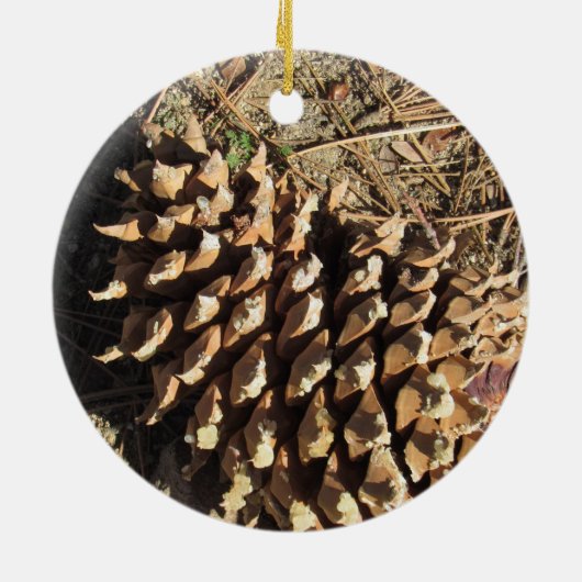 Der Coulter Pinecone Keramik Ornament (Hinten)