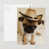 Der Cowboy-Mops-Welpe Postkarte (Vorne/Hinten)