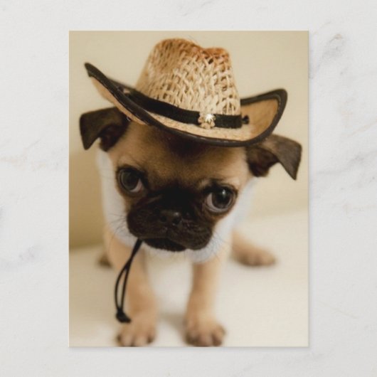 Der Cowboy-Mops-Welpe Postkarte (Vorderseite)